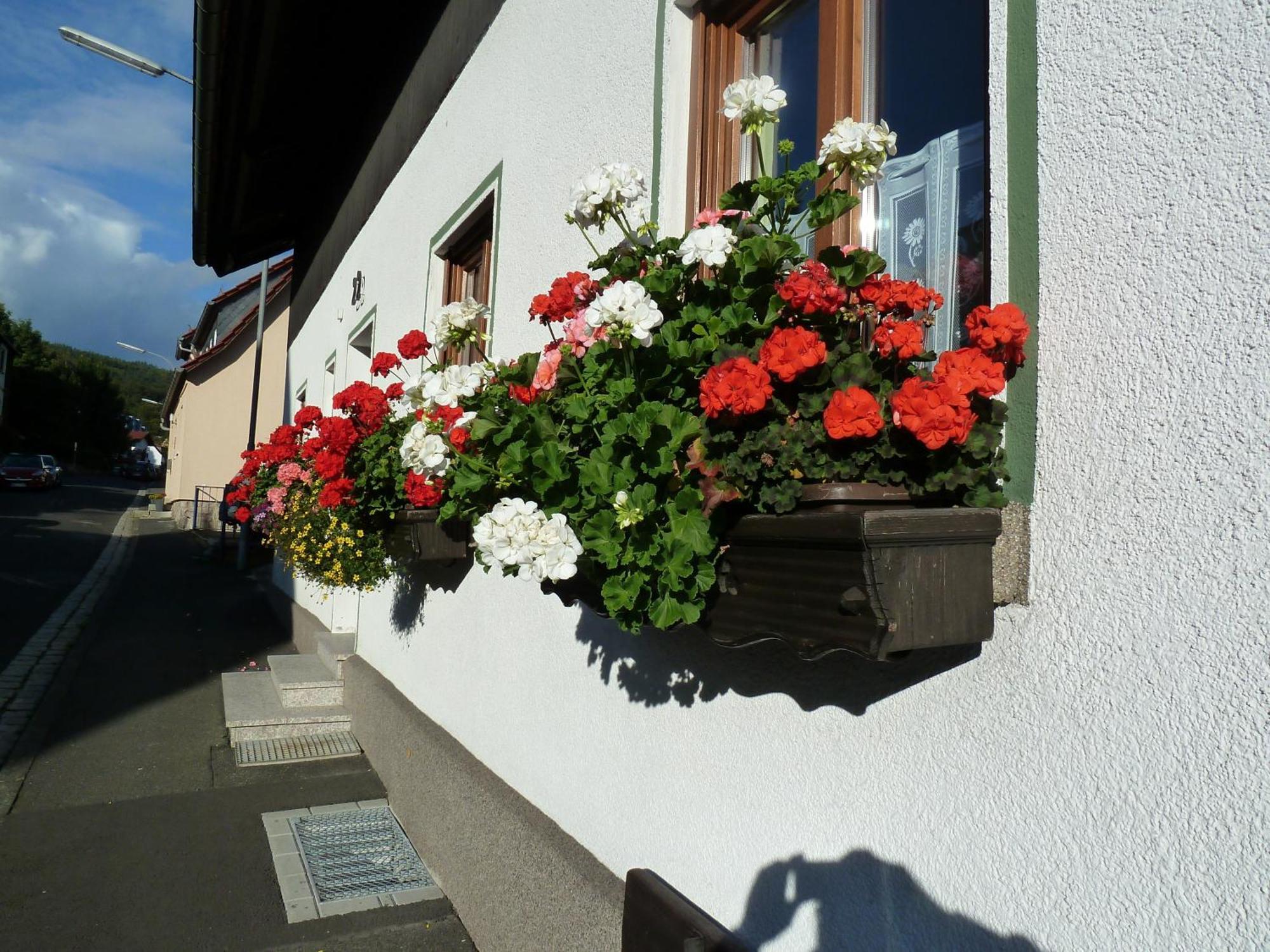 Lina'S Rhoen Bad Brueckenau Exterior photo